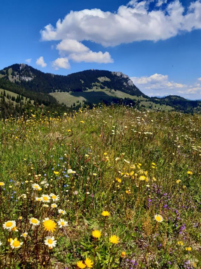 Fewo Niederndorferberg